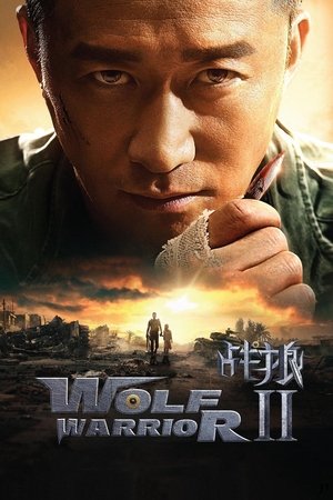 Wolf Warrior 2 -- VJ Junior