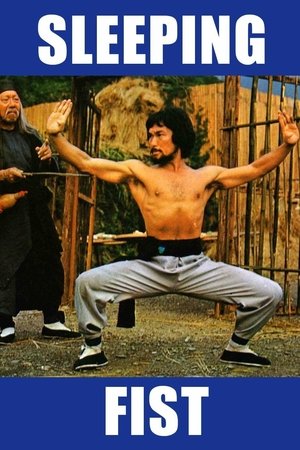 Sleeping Fist - Vj Jingo