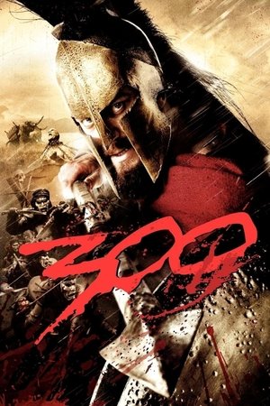 300 - Vj Junior