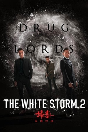The White Storm 2: Drug Lords - Vj Ice P