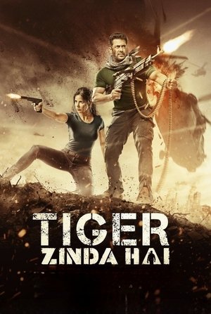 Tiger Zinda Hai - VJ Emmy