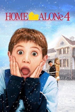 Home Alone 4 - Vj Emmy