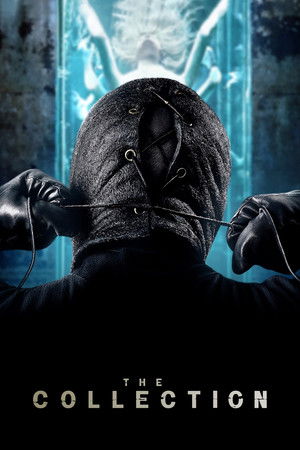 The Collection - VJ Junior