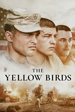 The Yellow Birds - VJ Junior
