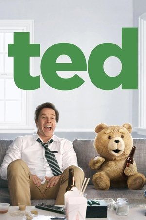 Ted 1 - Vj Junior