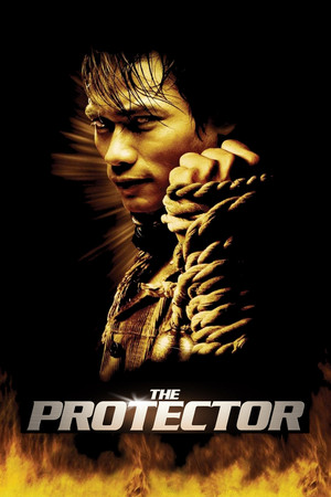 The Protector - Vj Jingo