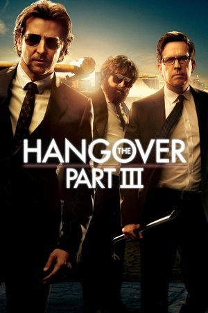 The Hangover Part III - VJ Junior