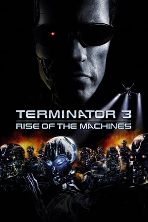 Terminator 3: Rise of the Machines - Vj Junior
