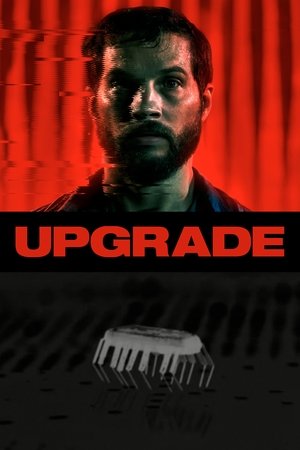 Upgrade - VJ Junior