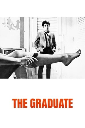 The Graduate - Vj Junior