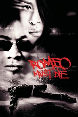 Romeo Must Die - VJ Jingo