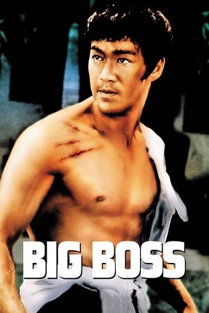 The Big Boss - VJ Jingo