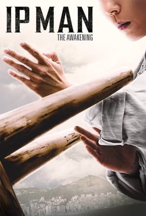 Ip Man: The Awakening - VJ Junior
