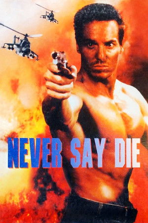 Never Say Die - VJ Jingo