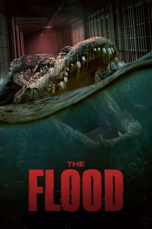 The Flood - VJ Junior