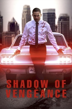 Shadow of Vengeance - VJ Jovan