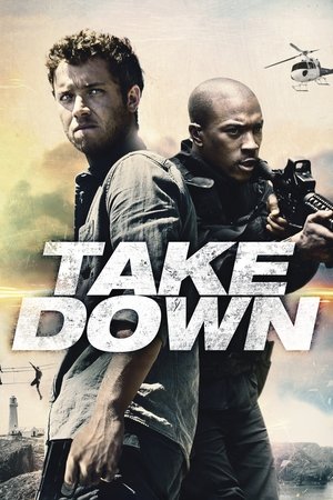 Take Down - VJ Jingo