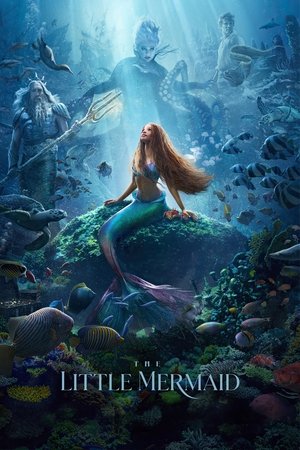 The Little Mermaid - VJ Emmy
