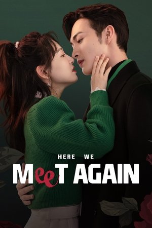 Here We Meet Again - VJ Ronage