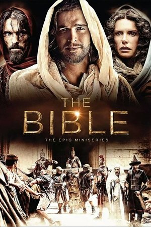 The Bible - VJ Soul