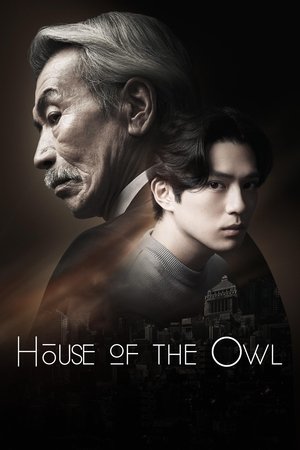 House of the Owl - VJ Tonny