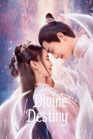 Divine Destiny - VJ Ryan